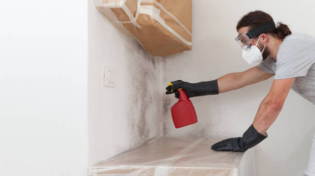 Professional Crawl Space Mold Removal technician working in Lockport, NY