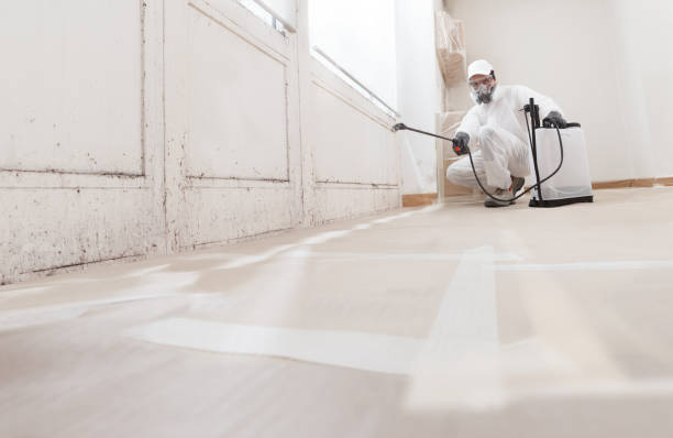 24/7 Emergency Crawl Space Mold Removal experts in Lockport, NY